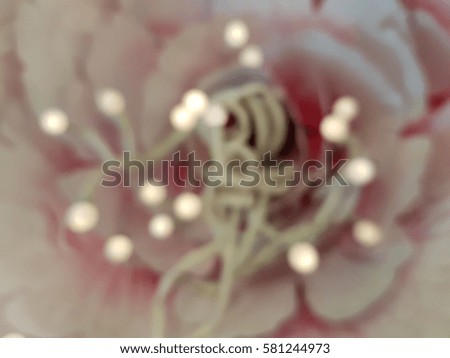 Blur Plastic roses as floral background