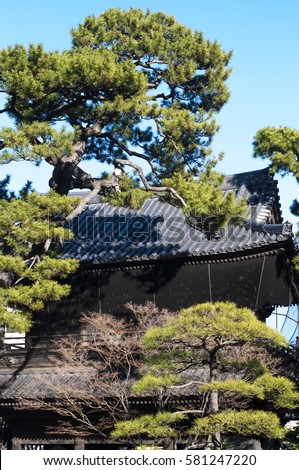 picture of patio Temple roof of Japan shrine in Tokyo: 47 Ronin: cemetery of the 47 Loyal Retainers, Tokyo, Japan