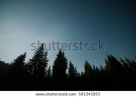 Starfield  over the forest