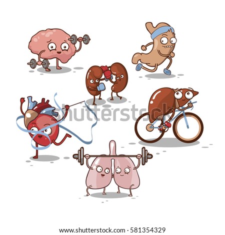 Vector Cute Cartoon Organs Set On White Background / Brain, Heart, Lungs, Kidneys, Liver, Stomach.