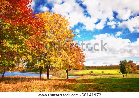 Autumn at the morning park Royalty-Free Stock Photo #58141972