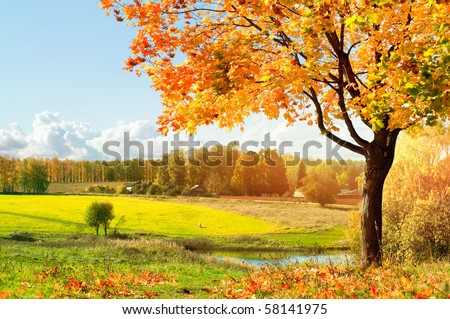Autumn at the morning park Royalty-Free Stock Photo #58141975