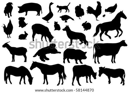 vector farm animals