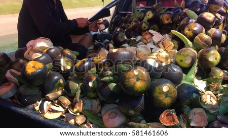 Sugar palm fruit shop on pickup car