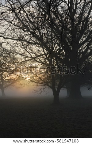 Sunrise on a misty morning in Sussex, United Kingdom.