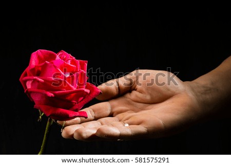 Hand holding red rose black background