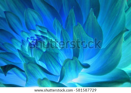 Psychedelic blue flower abstract