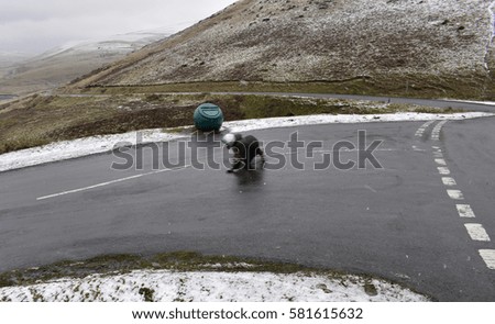 Man longboarding in snowy weather