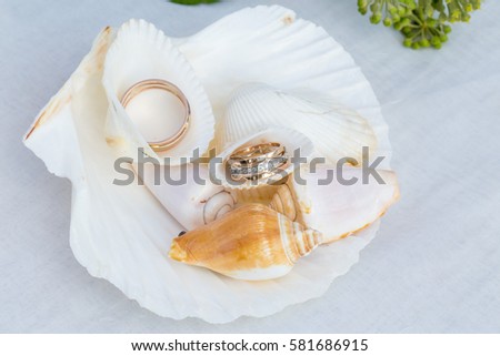 Wedding rings in the seashells