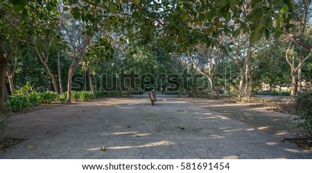 Old dry riverbed of the River Turia, Valencia, Spain. Walk under the shade of leafy and old trees