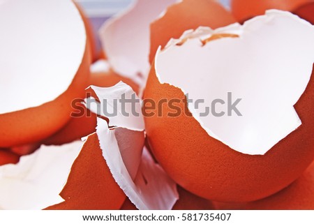 Egg shell texture. brown eggs as background. Egg shells photography in studio. Brown broken eggs pattern.