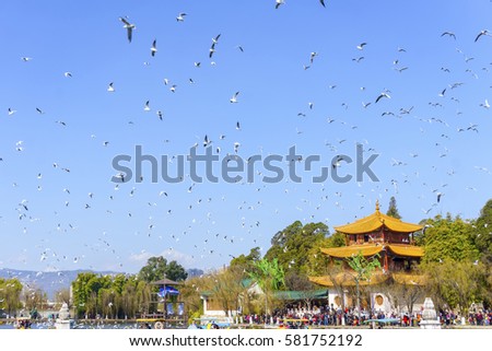 The beautiful scenery and the Kunming Daguanlou Park Flying Pigeon