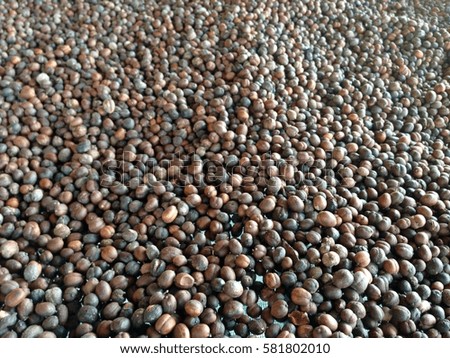 Arabica seed coffee bean surface