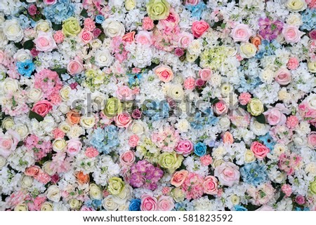 Abstract background of flowers. Close-up. flower bouquets , bunch of flowers. 