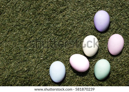 color egg on green grass easter concept outdoor park