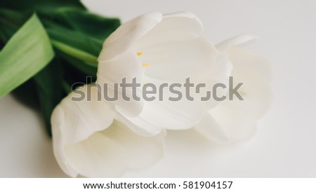 photograph of white tulips on the table. Shallow focus
