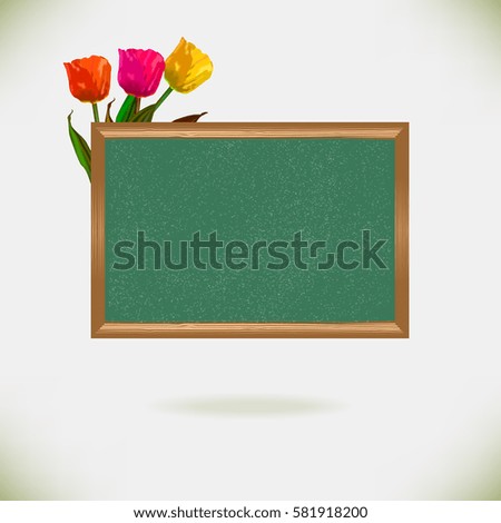 Chalkboard with colorful bright tulip flowers on light background. Vector illustration.