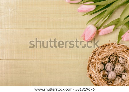 Easter background pink tulips on wooden table, quail eggs, nest, top view.