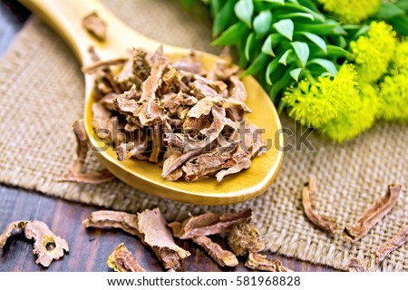 Spoon with dry root of Rhodiola rosea, and fresh flowers on a napkin from a sacking on a background of wooden boards Royalty-Free Stock Photo #581968828