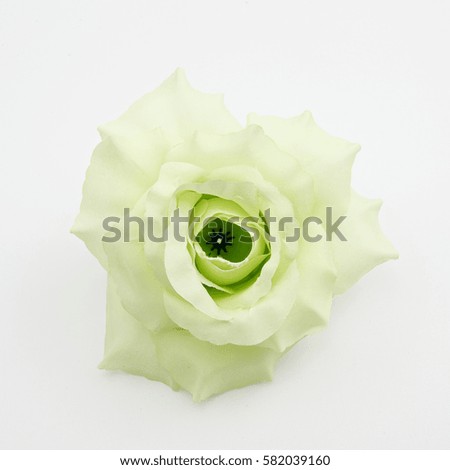 artificial flowers on white background