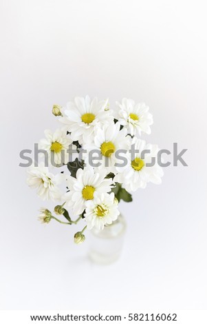 bouquet of white Chrysanthemum flowers on abstract artistic blurred light background. floral gift. festive composition with flowers. template for design