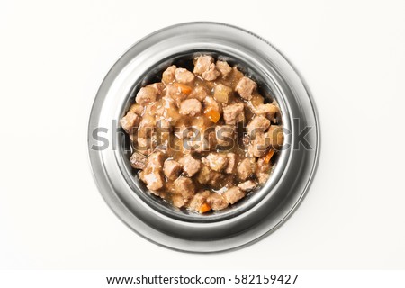 wet food for dogs and cats in silver bowl. Royalty-Free Stock Photo #582159427