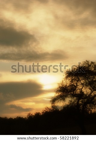 Sunset dream look Royalty-Free Stock Photo #58221892