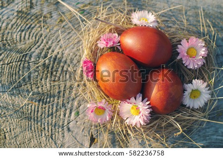 Easter red eggs and spring flowers in a nest on old wooden background. 
