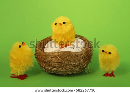 three chick in  nest with three eggs . Easter concept