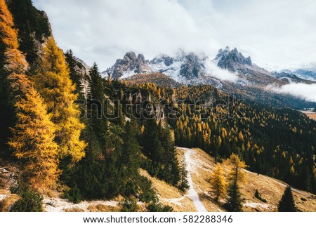 Great view of the yellow larches. Dramatic and gorgeous scene. Location National Park Tre Cime di Lavaredo, Misurina, Dolomiti alp, Tyrol, Italy, Europe. Vintage style. Instagram effect. Beauty world.