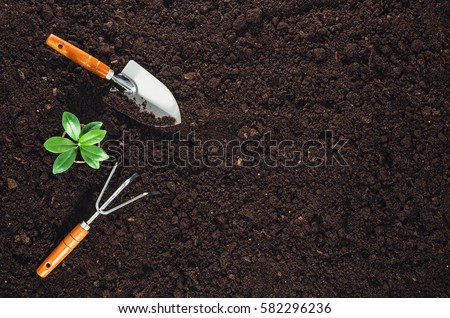Gardening tools on fertile soil texture background seen from above, top view. Gardening or planting concept. Working in the spring garden. Royalty-Free Stock Photo #582296236