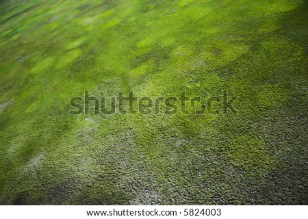 Aerial photos of arctic tundra wetlands for backgrounds and textures