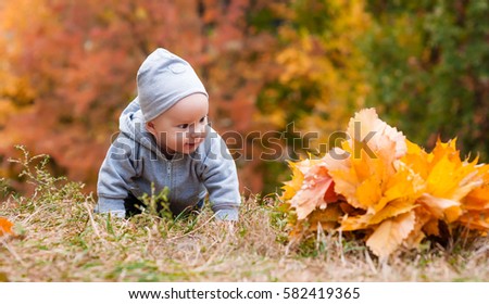 The small child creeps on a grass to an armful of bright autumn leaves. The little stylish boy walks in the park in the beautiful autumn