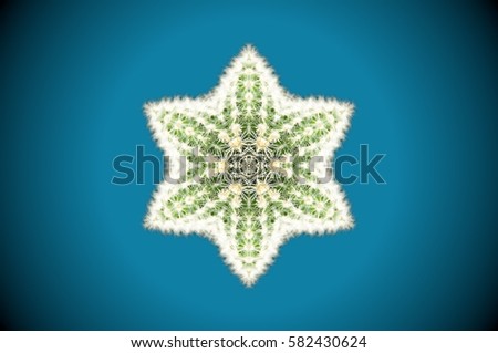 Six sided star abstract cactus mandala. Blue, green, yellow and white.