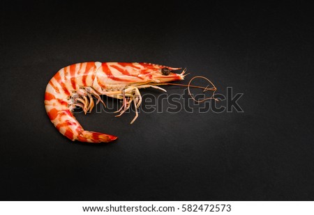 cooked tiger prawn on black background