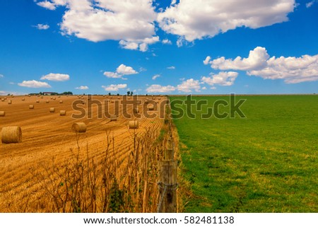 Colorful meadow and straw field with blue cloudy sky. Picture with green grass, yellow golden straw in thirds with the blue sky.