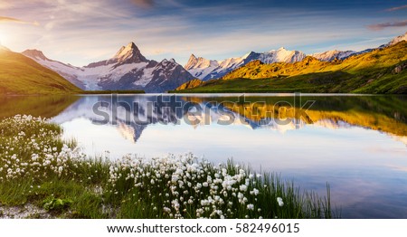 Great view of Bernese range above Bachalpsee lake. Dramatic and picturesque scene. Popular tourist attraction. Location place Swiss alps, Grindelwald valley, Europe. Artistic picture. Beauty world. Royalty-Free Stock Photo #582496015