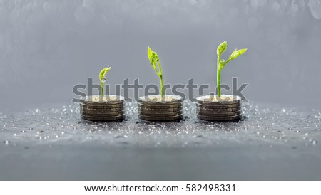 Tree growing on coins, Business save and growing finance