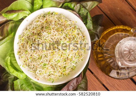 Alfalfa Sprouts into a bowl over a wooden table