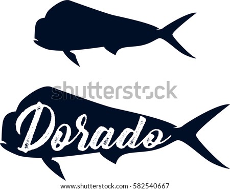 Dorado fish. Sea fish. Vintage fish.