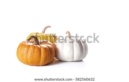 pumpkins close up isolated on white.