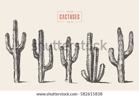 Set of cactuses, hand drawn vector illustration Royalty-Free Stock Photo #582615838