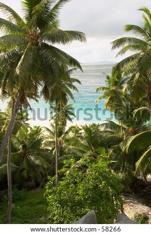View through coconut palms, over Anse Victorin beach, Fregate Island, the Seychelles. One of the other islands is visible on the horizon. Royalty-Free Stock Photo #58266