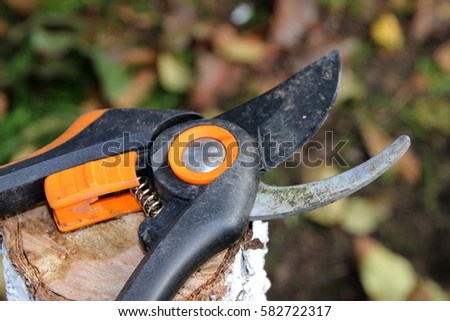 Modern secateurs on a whitewashed apple tree stump in the autumn garden