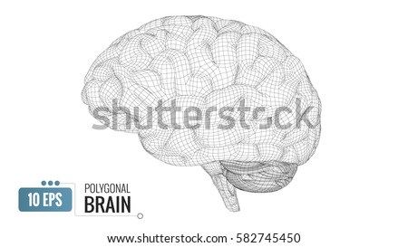 Monochrome polygonal wireframe brain isolated on white background