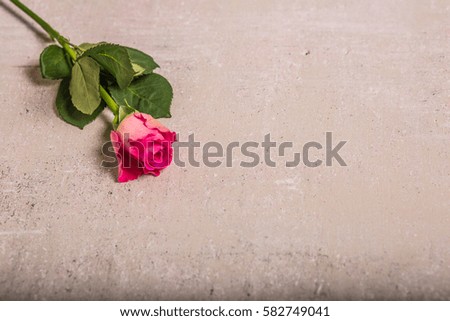 The beautiful pink roses in the table! 