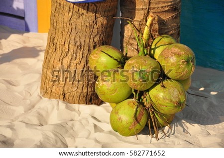 Coconuts on beach Royalty-Free Stock Photo #582771652