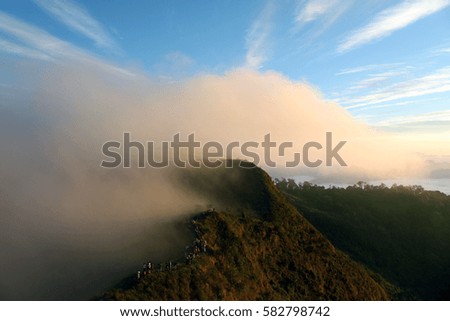 mountain and fog