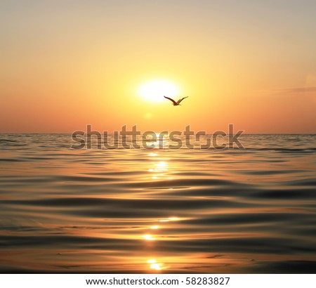 Beautiful sunset, shining in the sun sea and flying seagull Royalty-Free Stock Photo #58283827