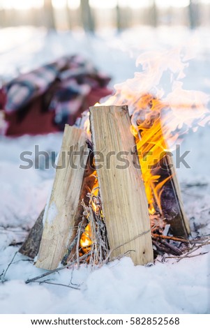Burning wood in the fire in the winter forest
